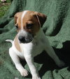 Tucker