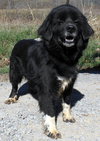 Thelma