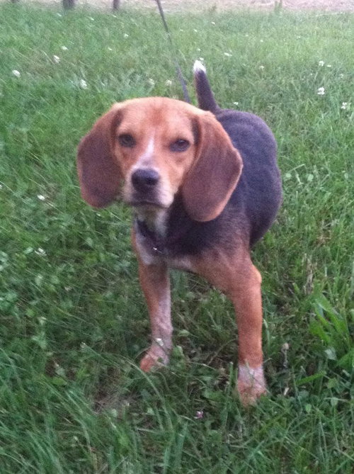 Mokie Spencer