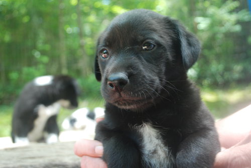 Winnie