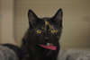 Wilma