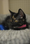 Wilma