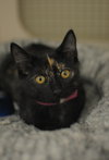Wilma