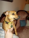 Ellie Mae