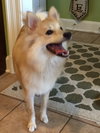 Sebastian