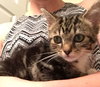 Ethel Purrman