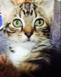 Ethel Purrman