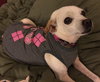 Delilah (Lila)