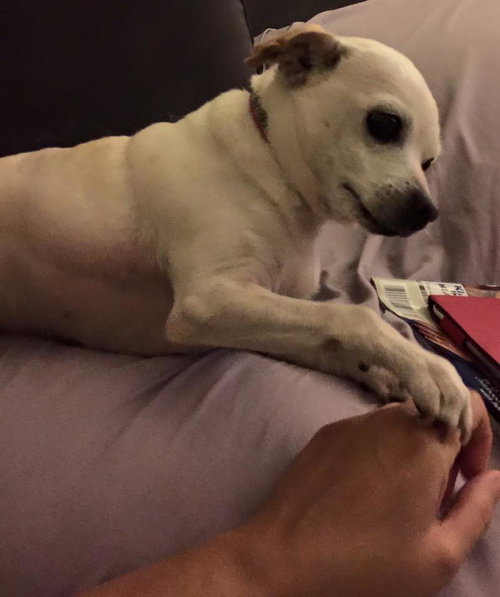 Delilah (Lila)