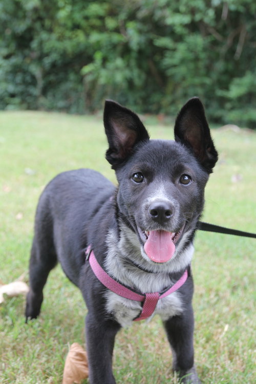 Luna