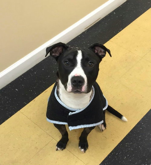 tux