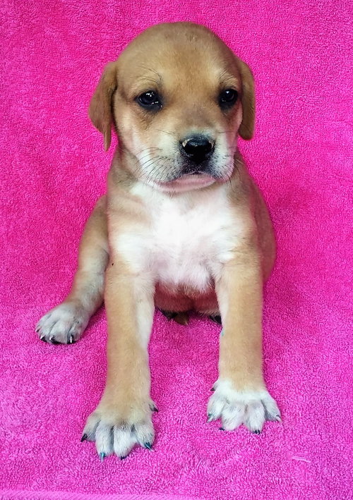 Tucker