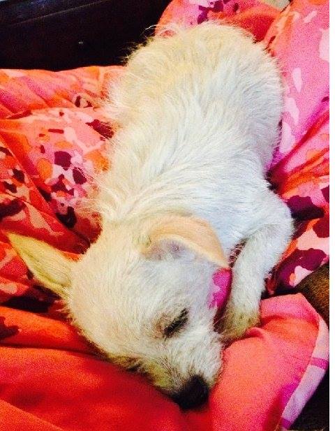 Gracie Mae