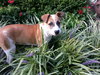 Toby Lee
