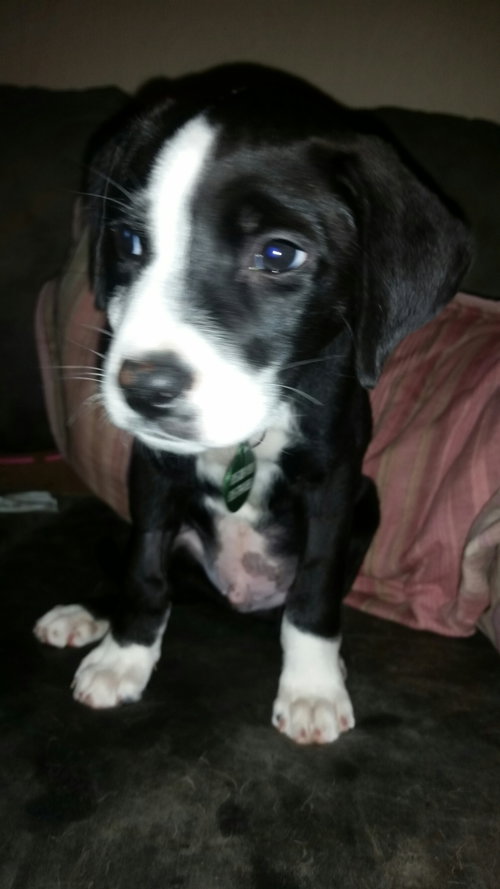 Tucker