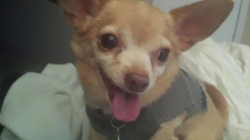 Winston