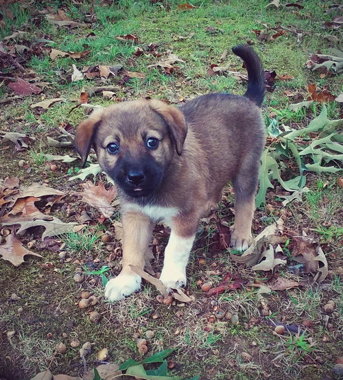 Lucy Mae