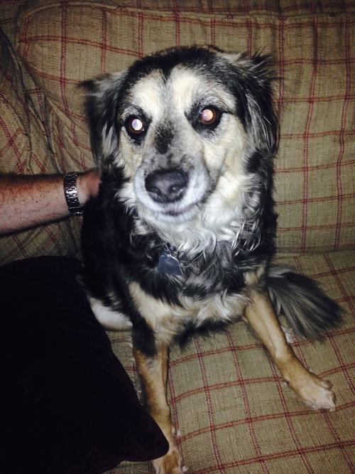 Maggie