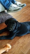 Ellie