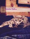 Annie Cat