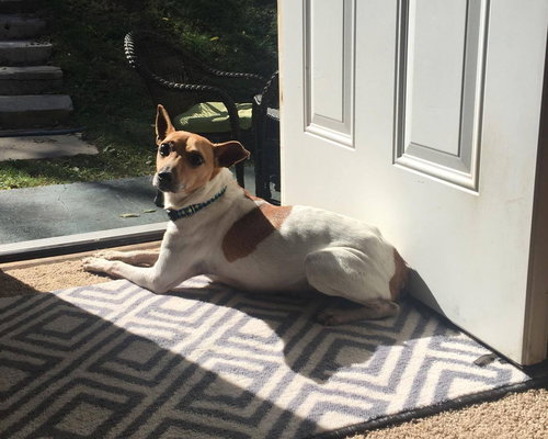 Milo