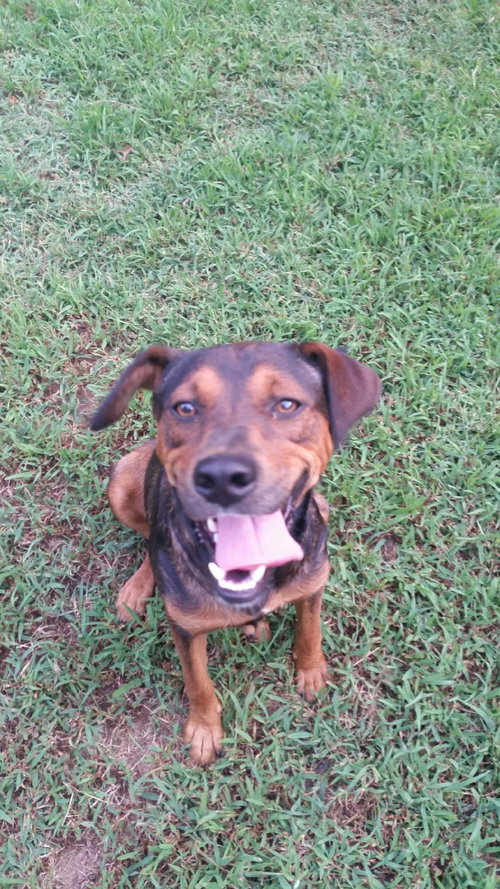 Bruno