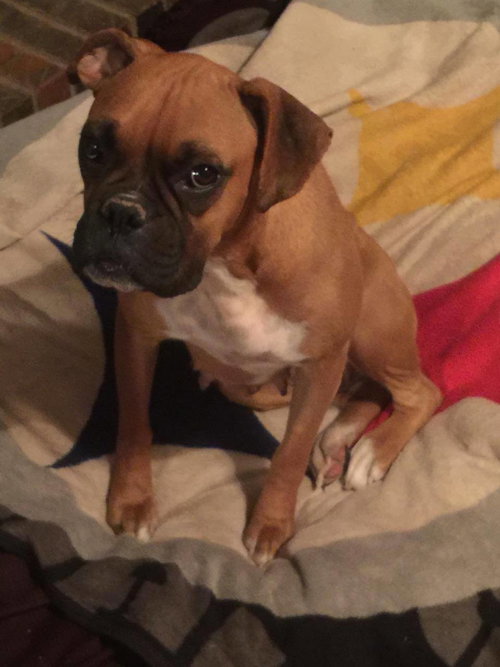 Roxy