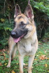 Kenai
