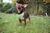 Tucker