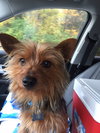 Tucker