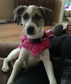 Amy