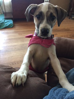 Amy