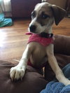 Amy