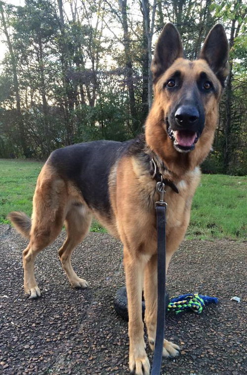 Tyson