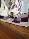Jillian