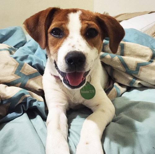 Ruby