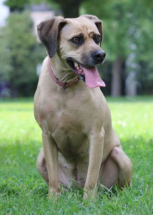 Addie