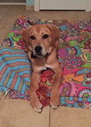 Jax