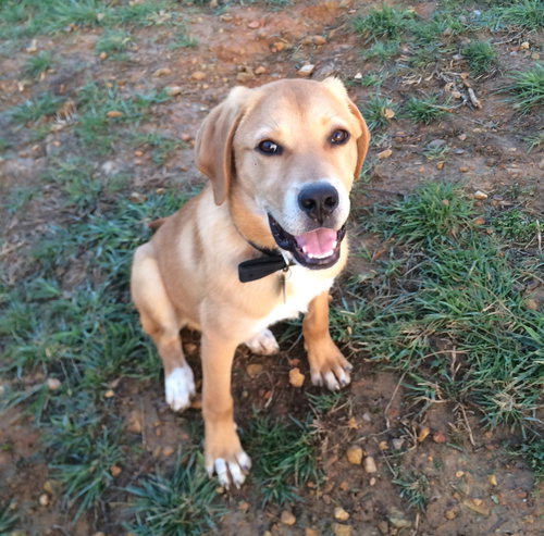 Jax