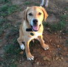 Jax