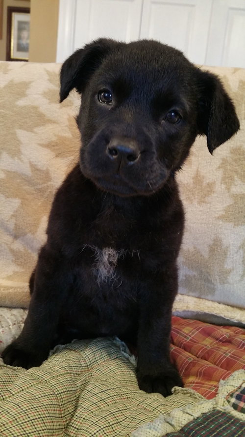 Maggie