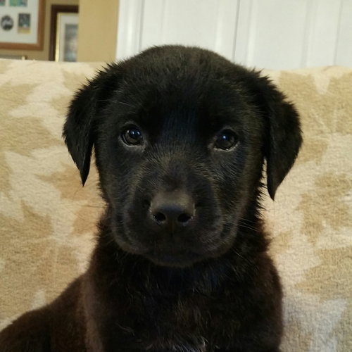 Maddy