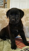 Maddy