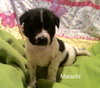 Malachi