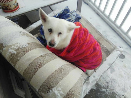 Blanca