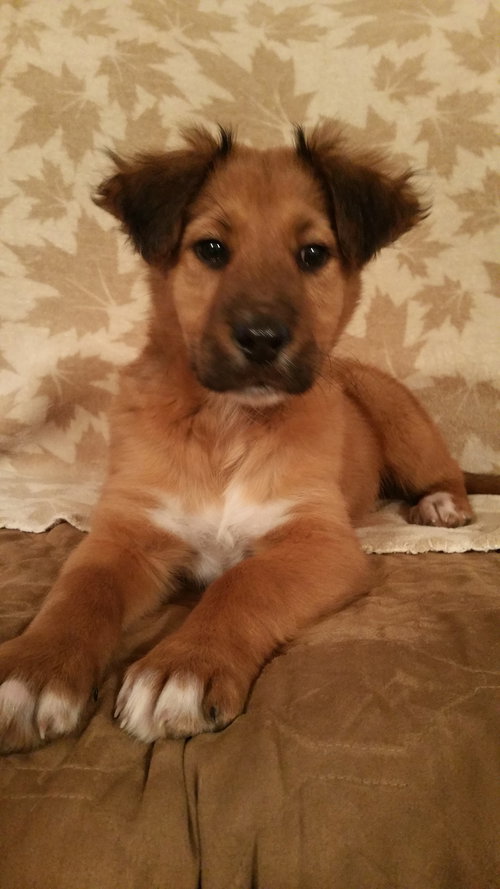 Oliver