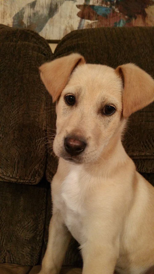 Charlie