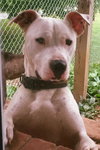 Leroy