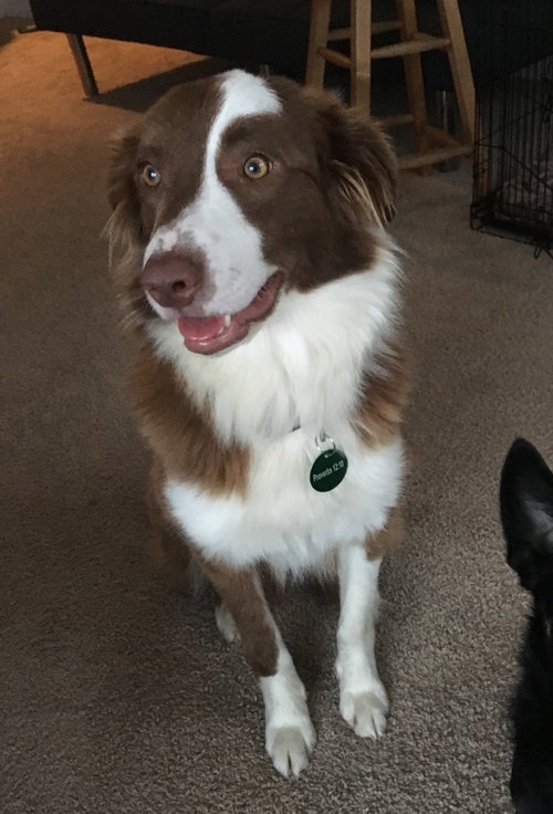 Ruby