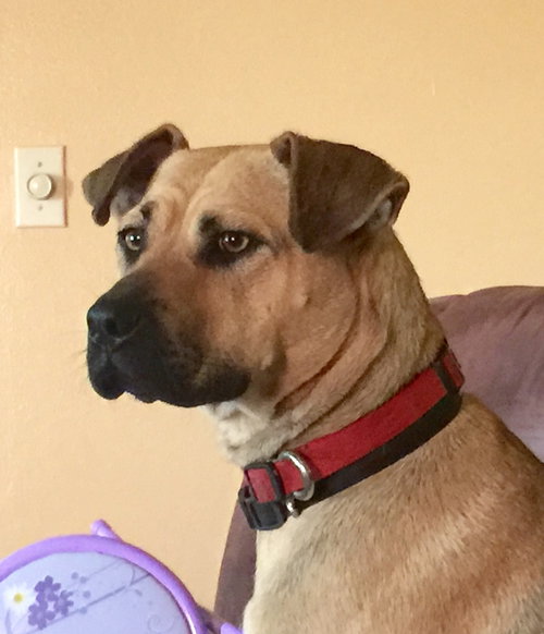Tiki